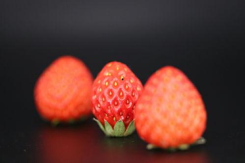 最新爆料草莓图片高清,高清视觉盛宴下的甜蜜诱惑